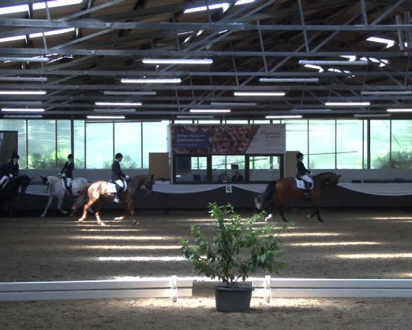 Reitturnier Bochum-Nord 2019