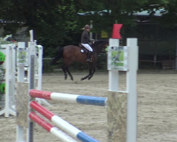 Reitturnier Bochum-Nord 2019
