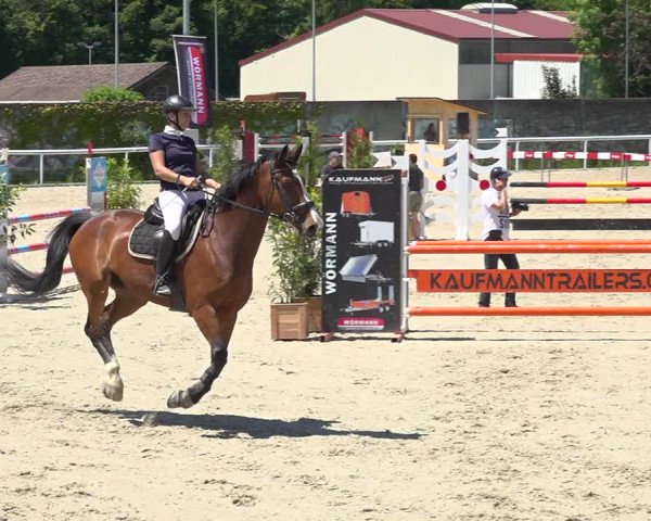 Reitturnier Münsingen 2019