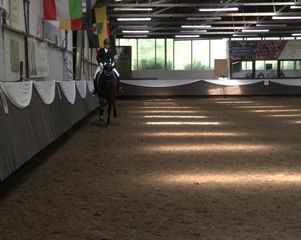 Reitturnier Bochum-Nord 2019