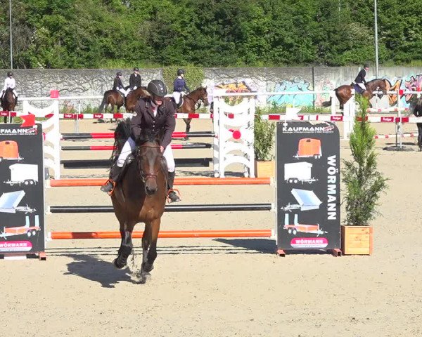 Reitturnier Münsingen 2019