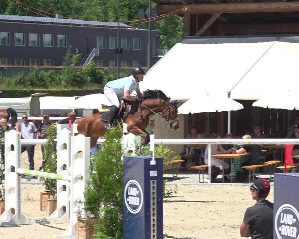 Reitturnier Münsingen 2019