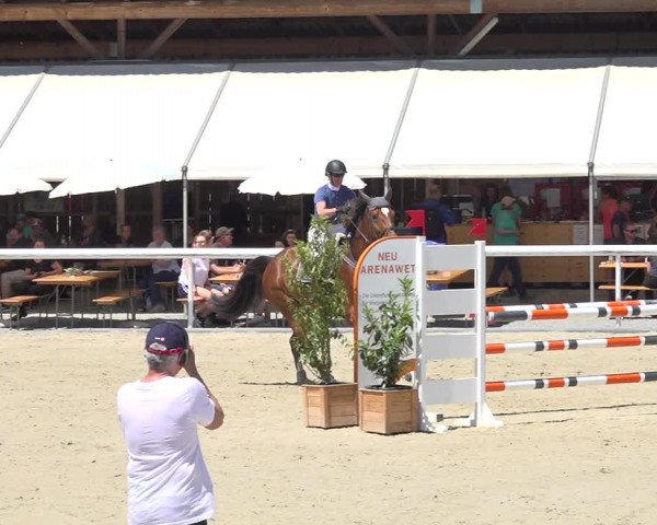 Reitturnier Münsingen 2019