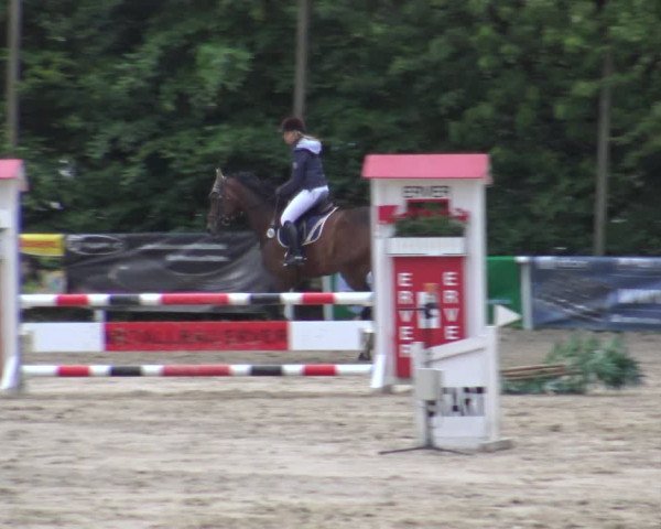 Reitturnier Bochum-Nord 2019