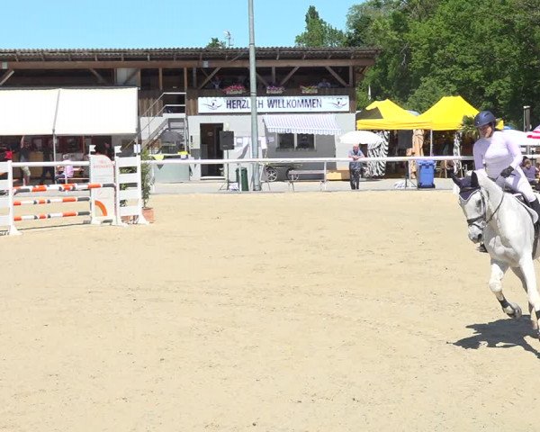 Reitturnier Münsingen 2019