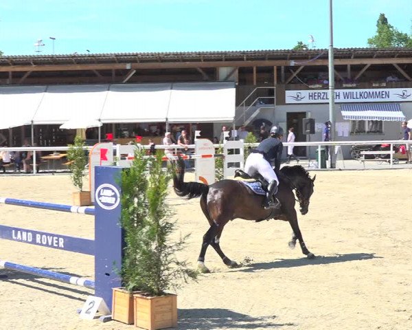 Reitturnier Münsingen 2019