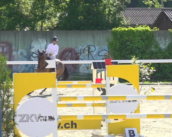 Reitturnier Münsingen 2019