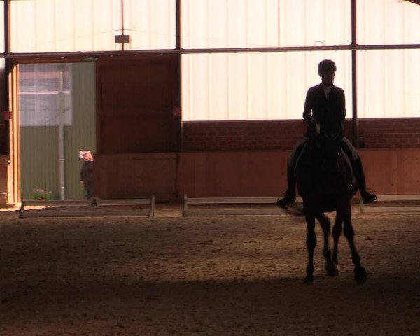 Reitturnier Iserlohn-Kalthof 2019