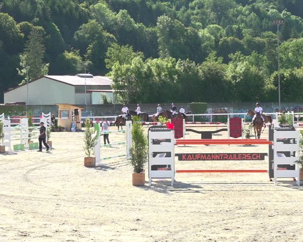 Reitturnier Münsingen 2019