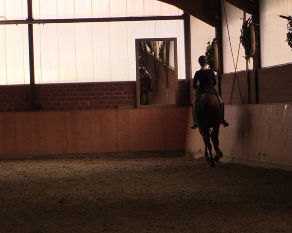 Reitturnier Iserlohn-Kalthof 2019