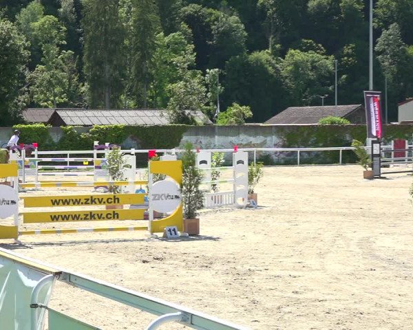 Reitturnier Münsingen 2019