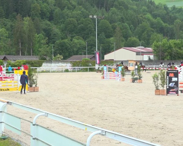 Reitturnier Münsingen 2019