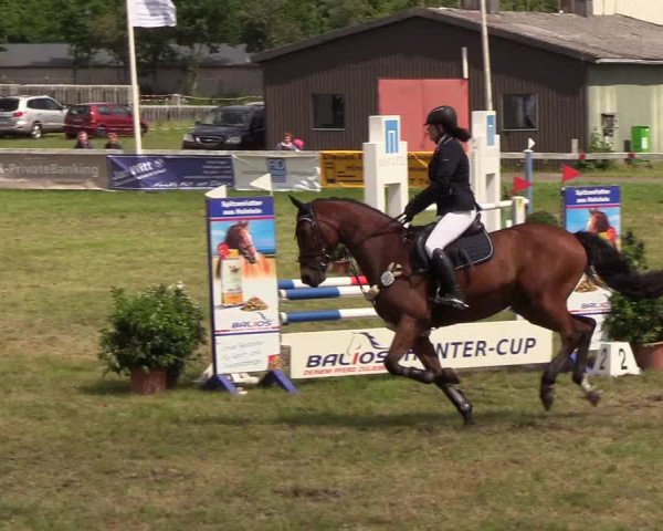Reitturnier Rendsburg 2019