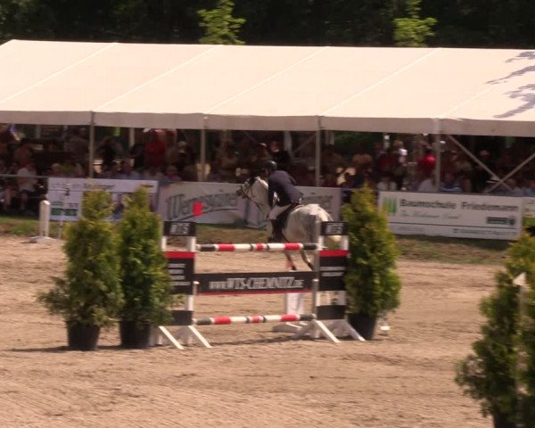 Reitturnier Lgl.-Oberhain, B95 2019