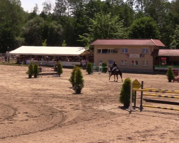 Reitturnier Lgl.-Oberhain, B95 2019