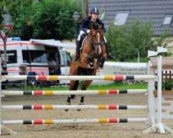broodmare Shakira R 4 (Hanoverian, 2006, from Sir Donnerhall I)