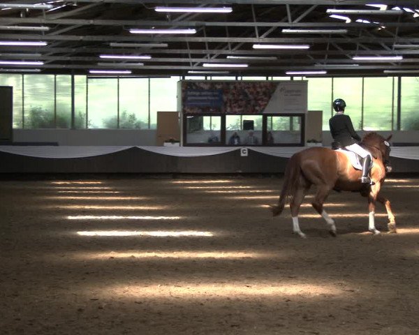 Reitturnier Bochum-Nord 2019