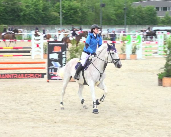 Reitturnier Münsingen 2019