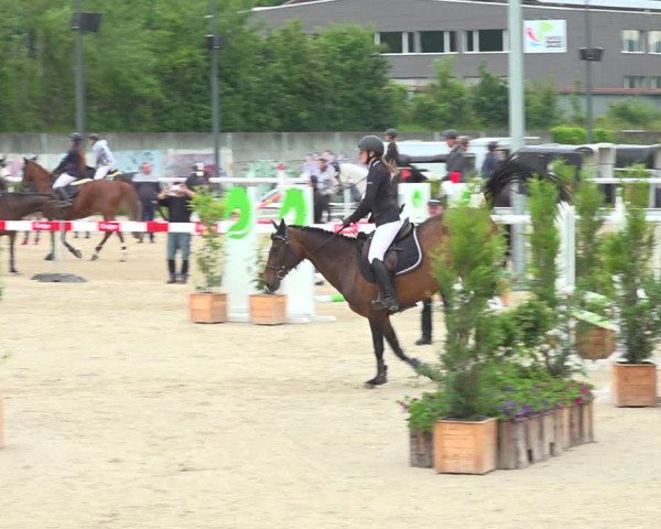 Reitturnier Münsingen 2019