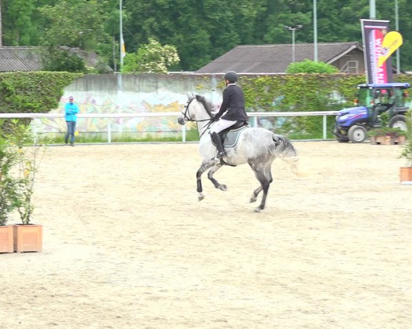 Reitturnier Münsingen 2019