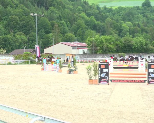 Reitturnier Münsingen 2019