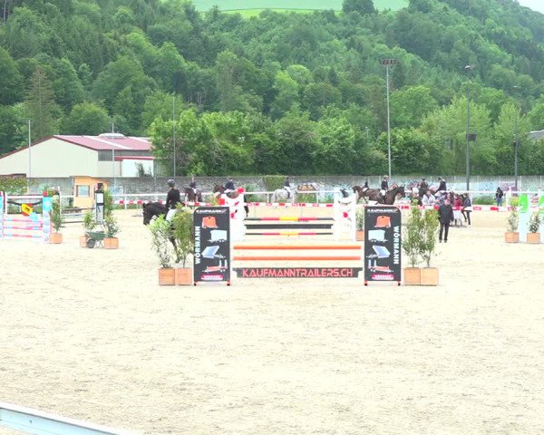 Reitturnier Münsingen 2019