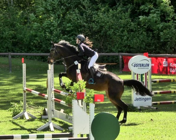 Reitturnier Jettingen 2019