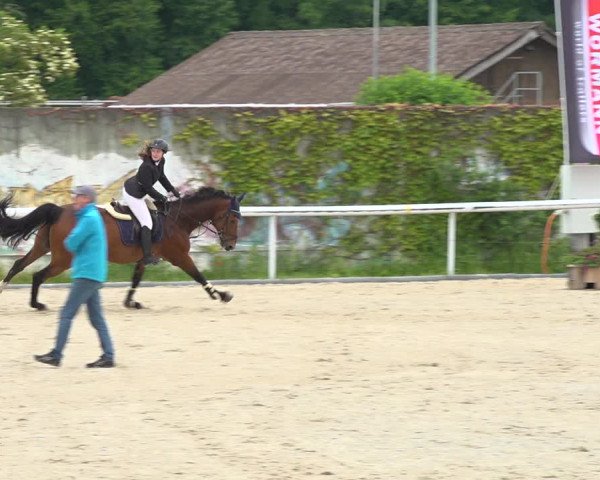 Reitturnier Münsingen 2019