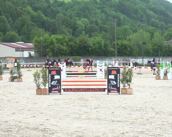 Reitturnier Münsingen 2019