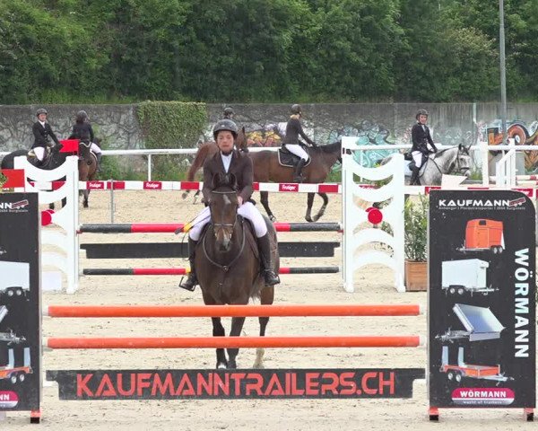 Reitturnier Münsingen 2019