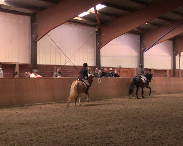 Reitturnier Iserlohn-Kalthof 2019