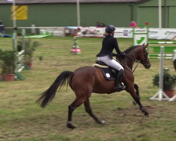 Reitturnier Rendsburg 2019