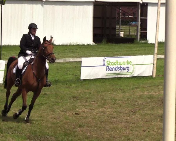 Reitturnier Rendsburg 2019