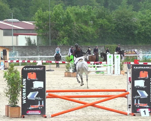 Reitturnier Münsingen 2019