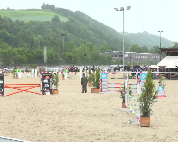 Reitturnier Münsingen 2019