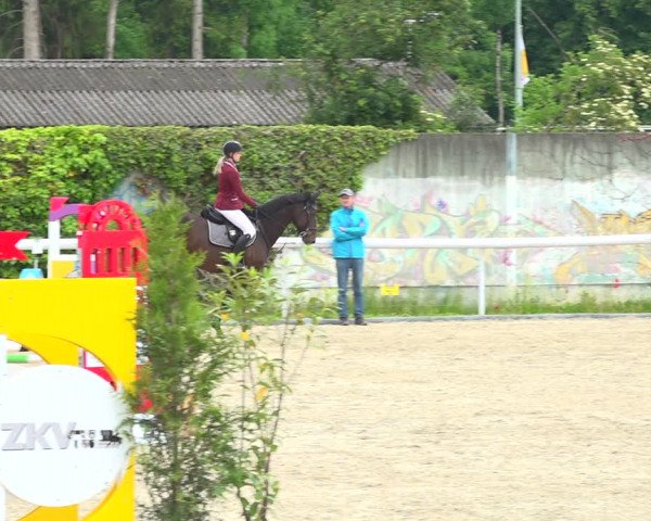 Reitturnier Münsingen 2019