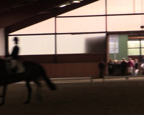 Reitturnier Iserlohn-Kalthof 2019