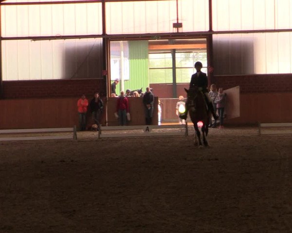 Reitturnier Iserlohn-Kalthof 2019
