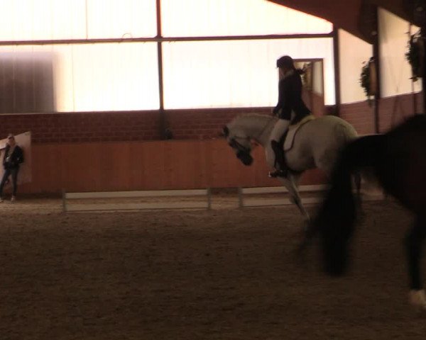 Reitturnier Iserlohn-Kalthof 2019