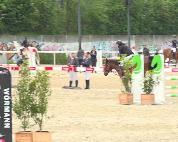 Reitturnier Münsingen 2019