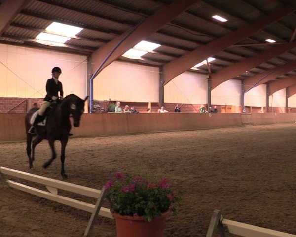 Reitturnier Iserlohn-Kalthof 2019