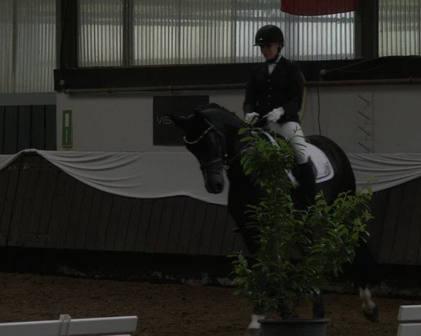 Reitturnier Bochum-Nord 2019
