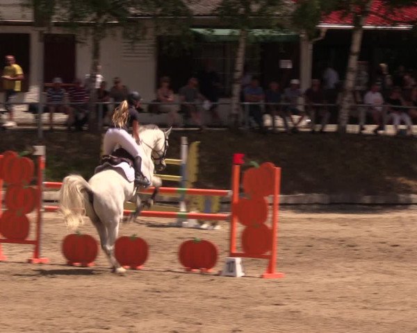 Reitturnier Lgl.-Oberhain, B95 2019
