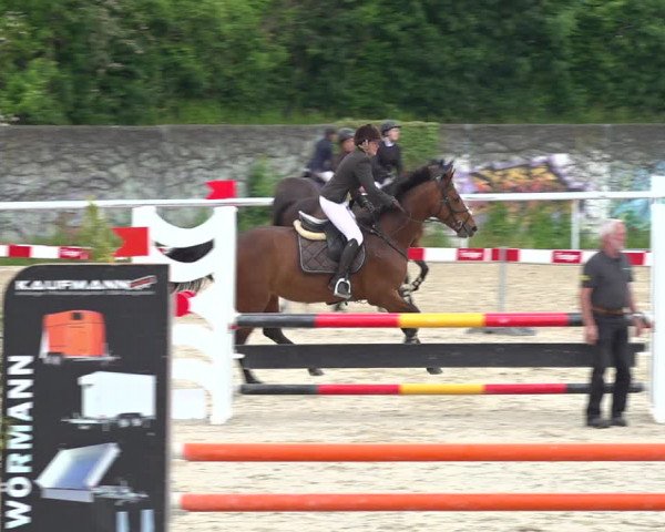 Reitturnier Münsingen 2019
