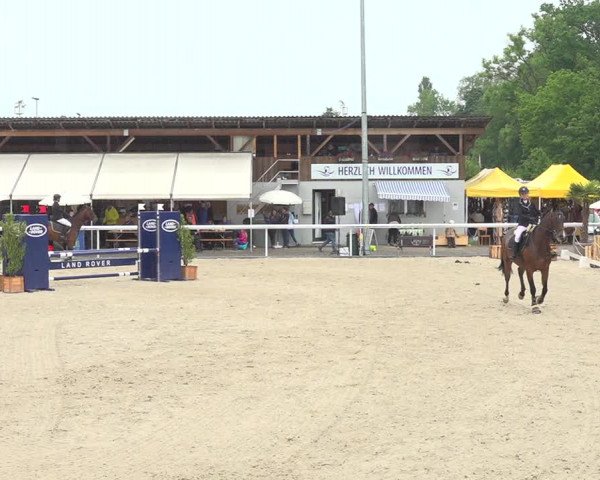 Reitturnier Münsingen 2019