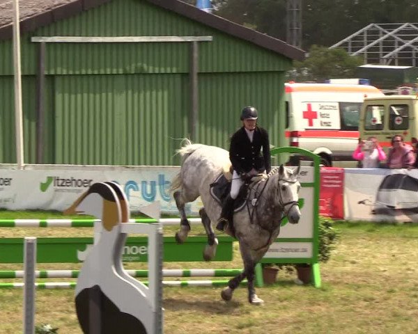 Reitturnier Rendsburg 2019