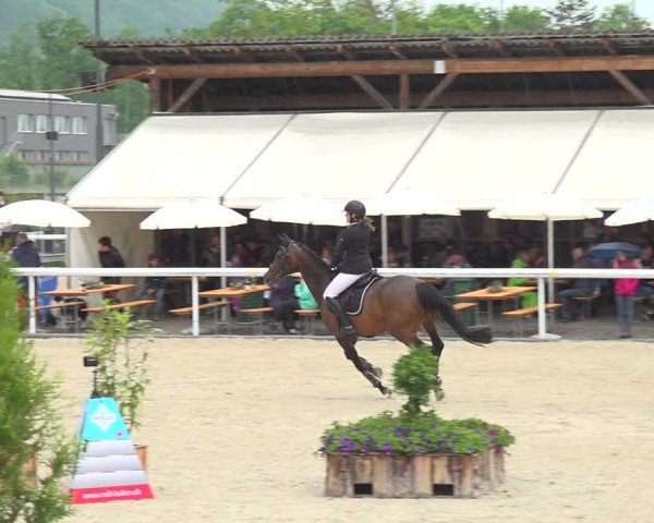 Reitturnier Münsingen 2019