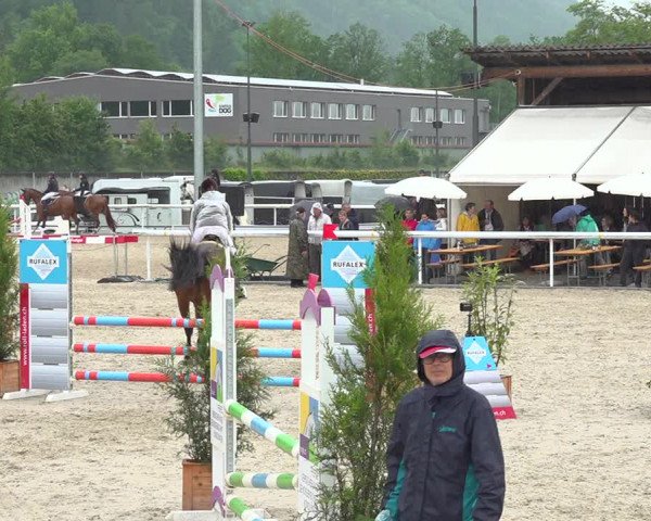 Reitturnier Münsingen 2019