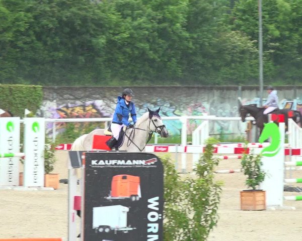 Reitturnier Münsingen 2019