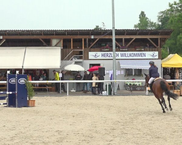 Reitturnier Münsingen 2019